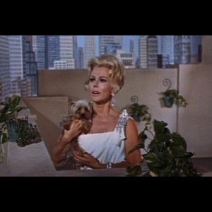 Meet your Posher, Pamela